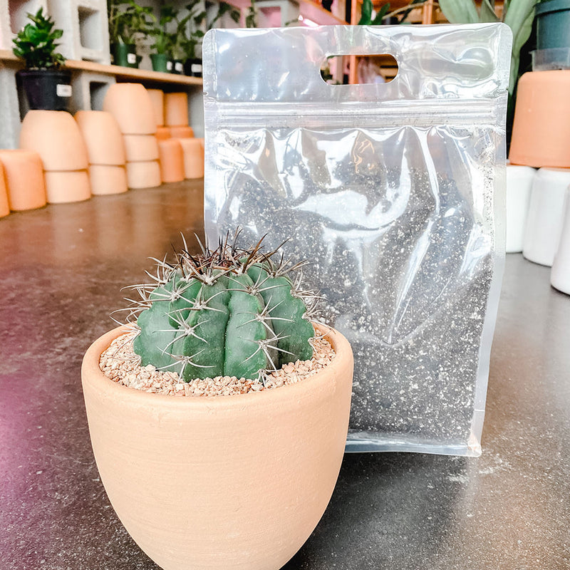 Cactus Soil Mix